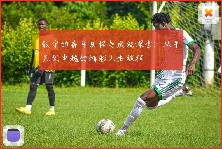 张宁的奋斗历程与成就探索：从平凡到卓越的精彩人生旅程