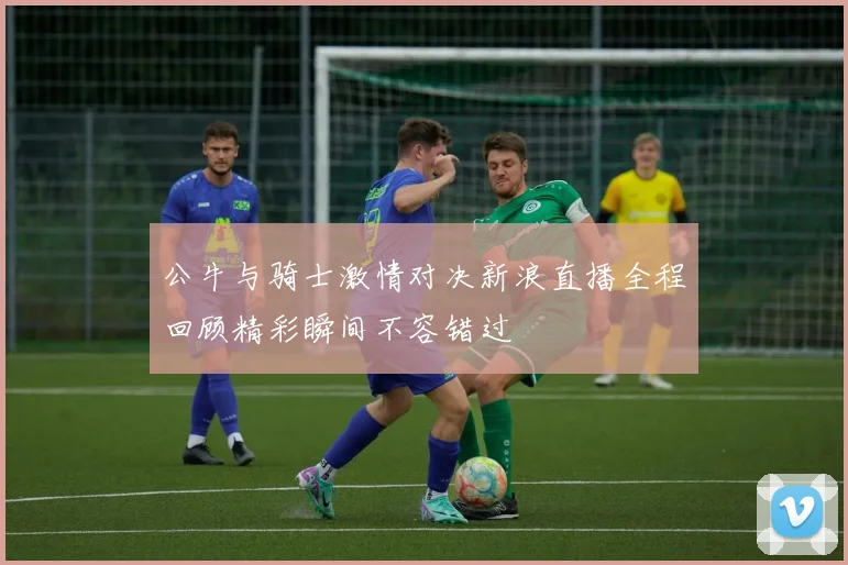 公牛与骑士激情对决新浪直播全程回顾精彩瞬间不容错过