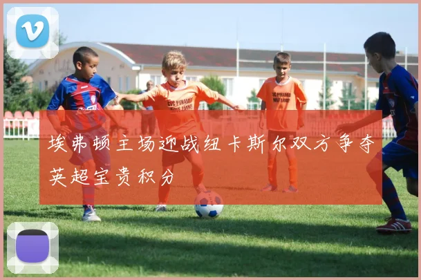 埃弗顿主场迎战纽卡斯尔双方争夺英超宝贵积分