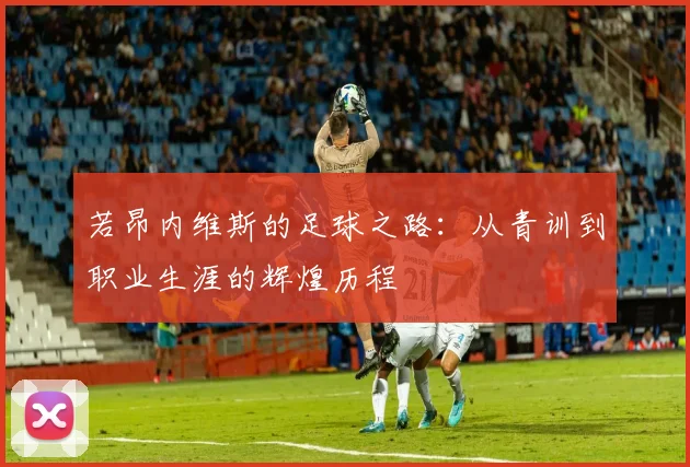 若昂内维斯的足球之路：从青训到职业生涯的辉煌历程