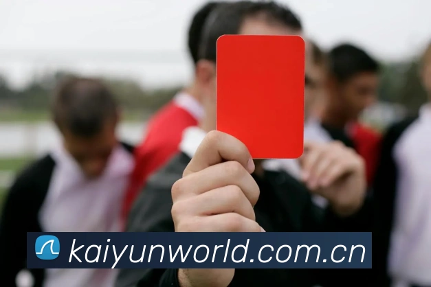 开云体育发展历程